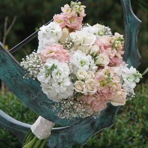 Meet your Posher, Jana